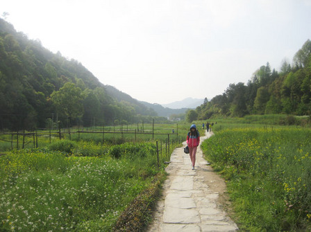婺源1180#.jpg