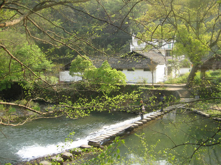 婺源1227#.jpg