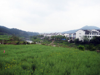 婺源13#.jpg